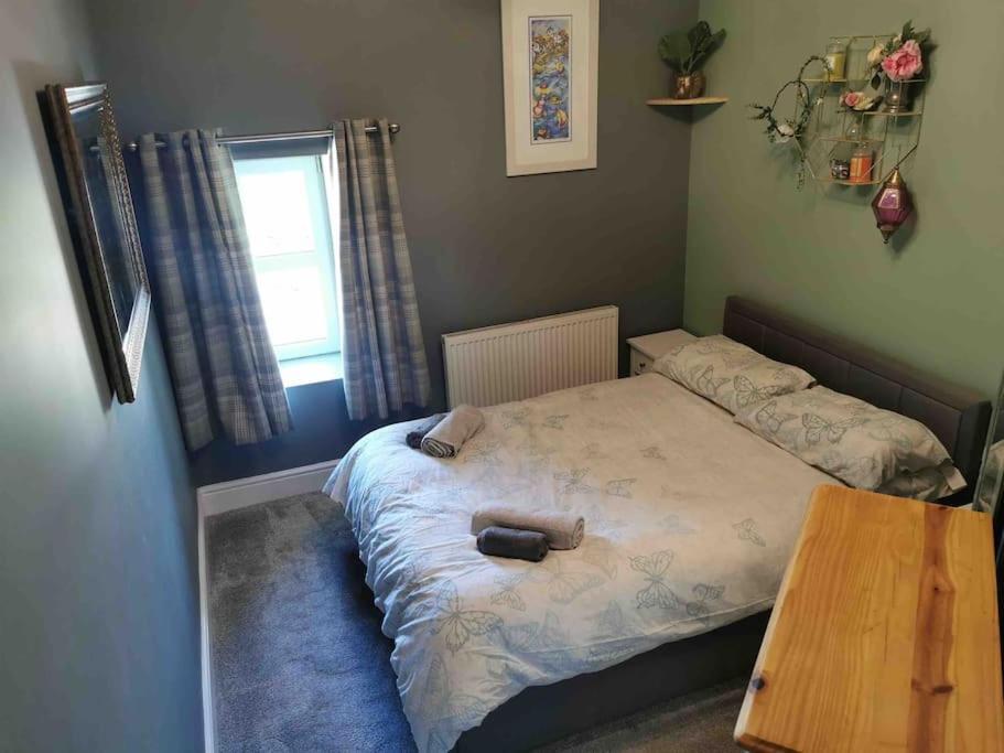 Number 7 Torquay Stunning Sea Views Daire Dış mekan fotoğraf