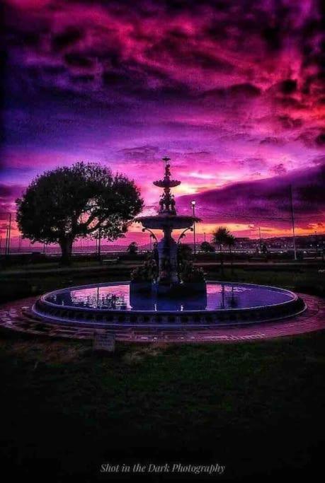 Number 7 Torquay Stunning Sea Views Daire Dış mekan fotoğraf